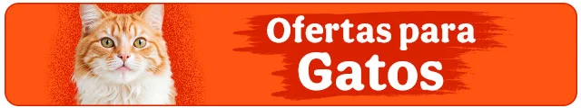 Todas las ofertas gato
